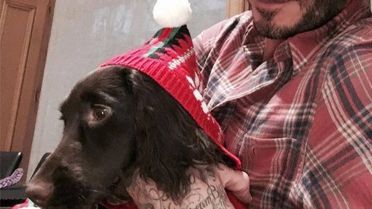 Auch kein Fußball-Profi (mehr): David Beckham (r.) ist Vierter im Ranking der beliebtesten facebook-Sportler. Das einstige Freistoß-Genie von Manchester United und Real Madrid "gefällt" 53,7 Millionen Fans