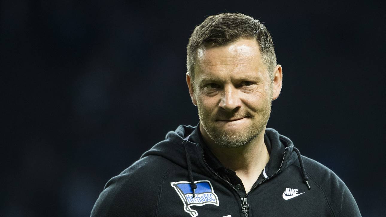 Dardai in Gladbach froh über Punkt