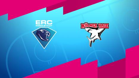 ERC Ingolstadt - Kölner Haie: Tore und Highlights | PENNY DEL