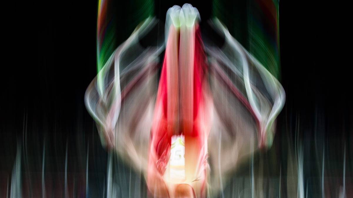 Auch im Turnen wird gerne mal etwas länger belichtet, wenn genügend Fotos im Kasten sind