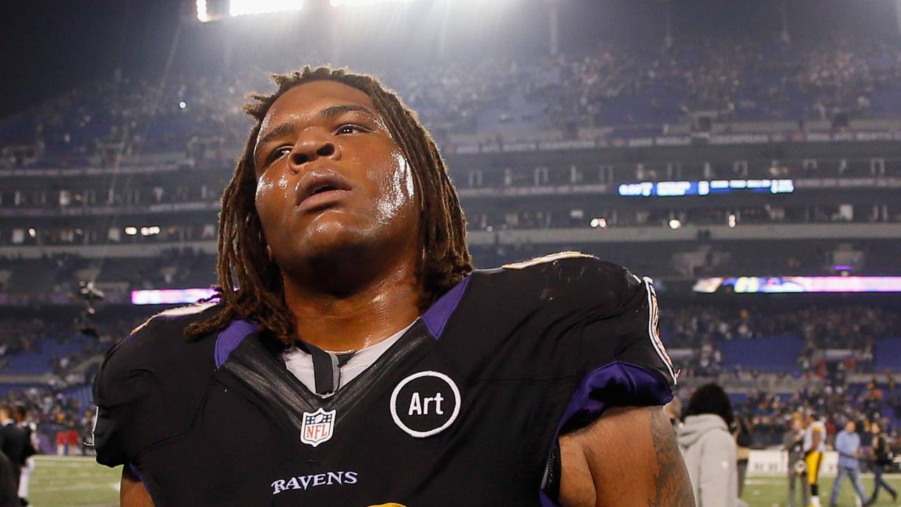 Verurteilung wegen Alligator-Besitz