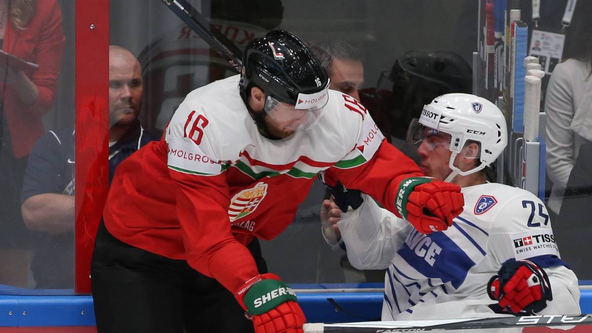 Auch im Spiel zwischen Ungarn und den Franzosen bleiben Rangeleien an der Bande nicht aus. Egal ob im Stehen...