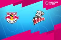 EHC Red Bull München - Nürnberg Ice Tigers: Tore und Highlights | PENNY DEL