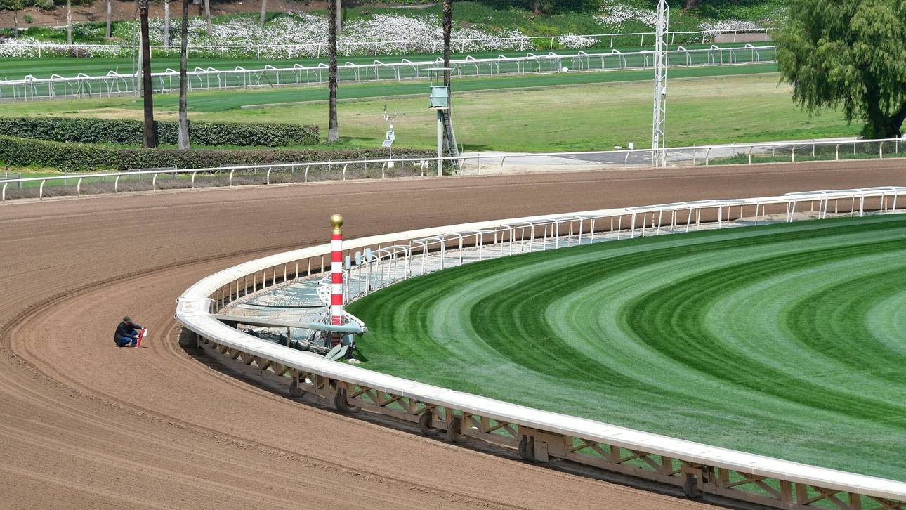 Todesserie im Galopp geht weiter