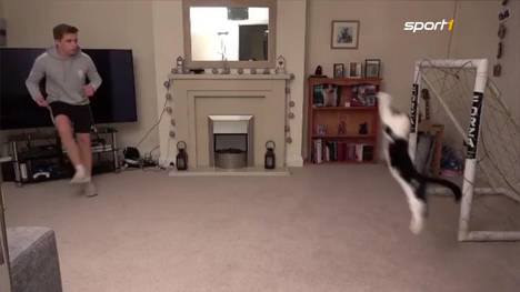 Spätestens seit der 'Katze von Anzing' werden gute Torhüter gerne mal als 'Katzen' betitelt. Diese echte Katze macht macht ihrem Namen aber alle Ehre...