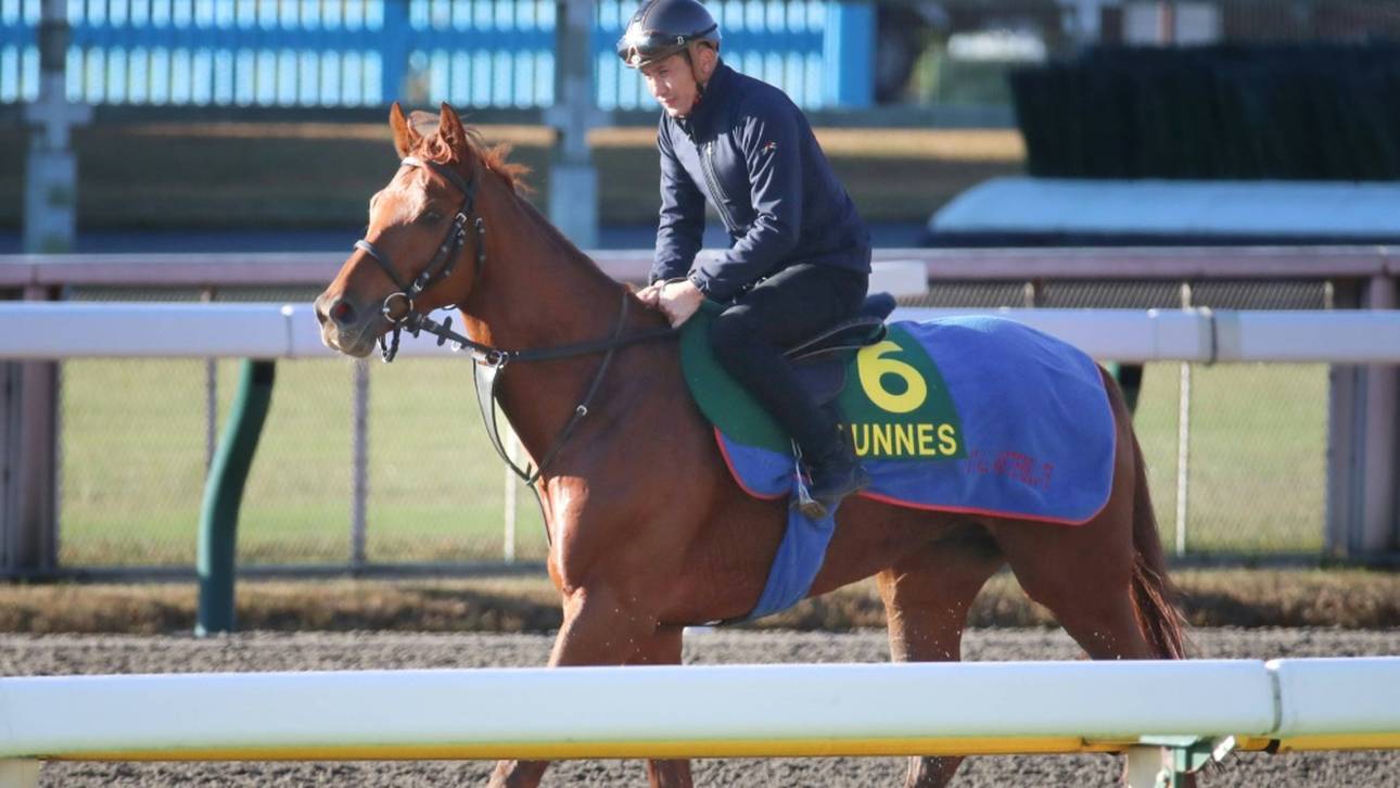 Galopp: Tünnes Favorit beim Heimspiel