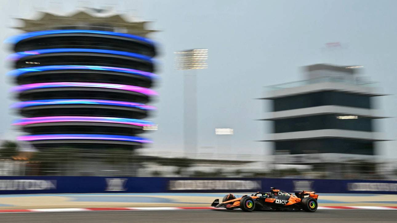 Junge Formel-1-Zuschauer verdoppelt