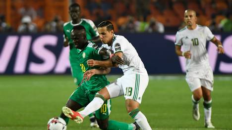 Algerien hat den Afrika Cup 2019 gewonnen
