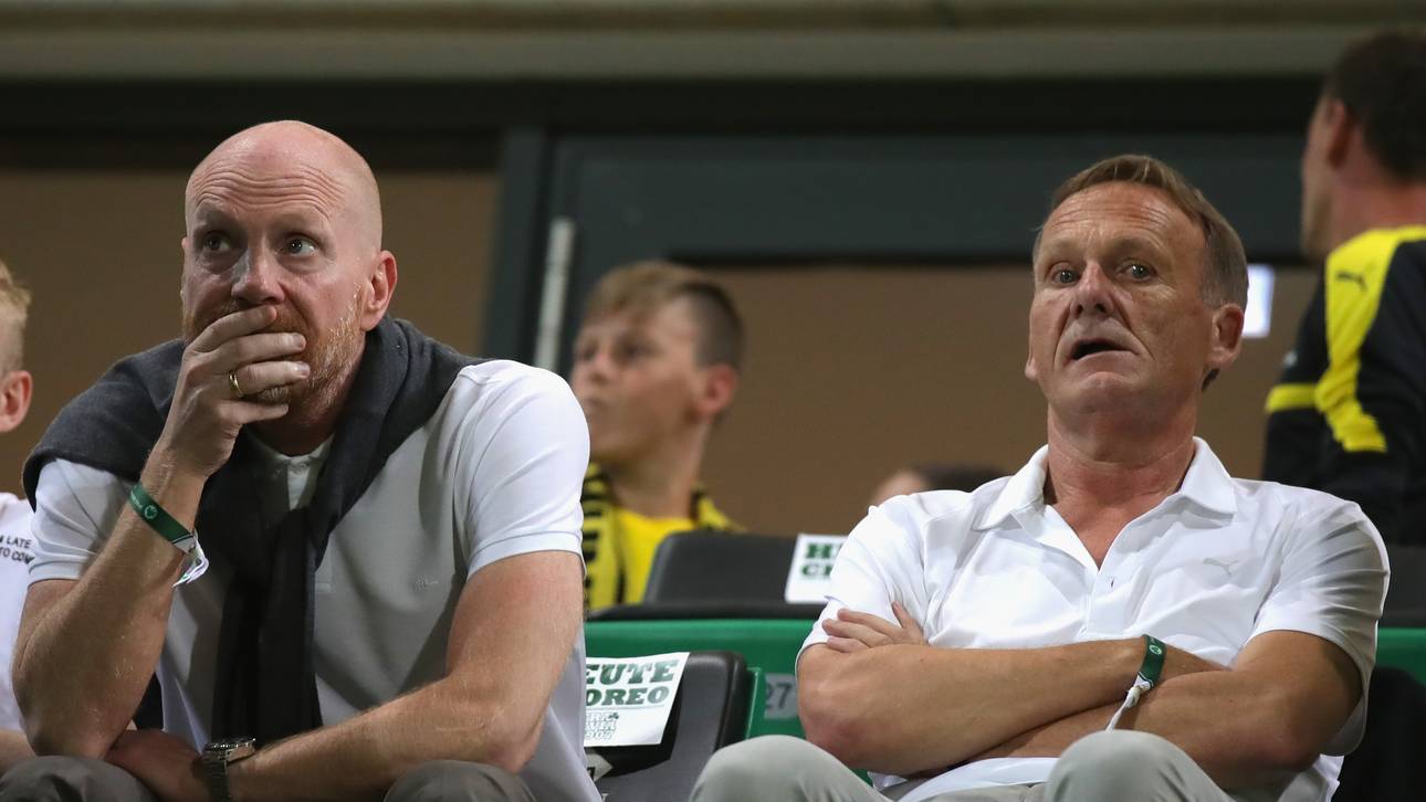 Sammer rät BVB zu Mandžukić