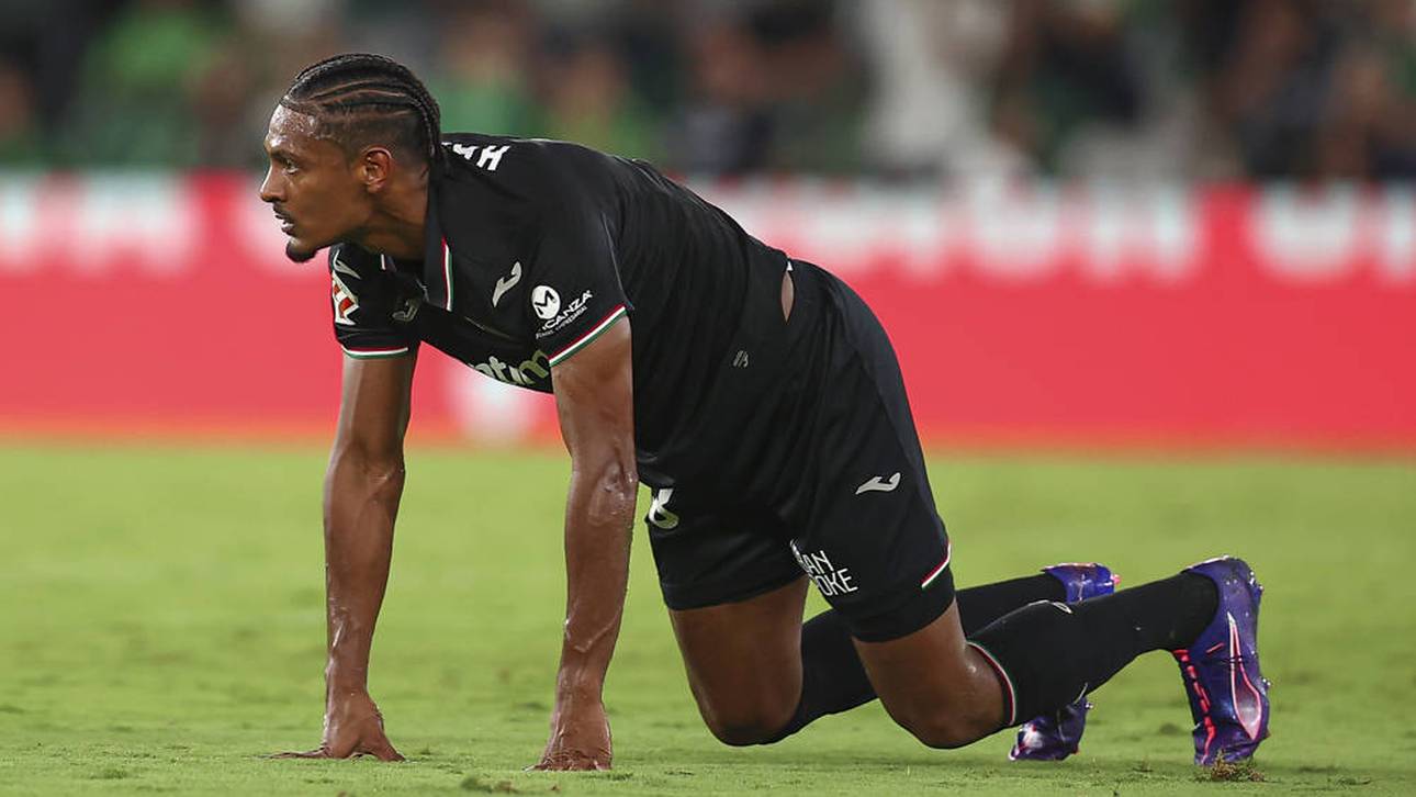 So ist der Stand bei Haller