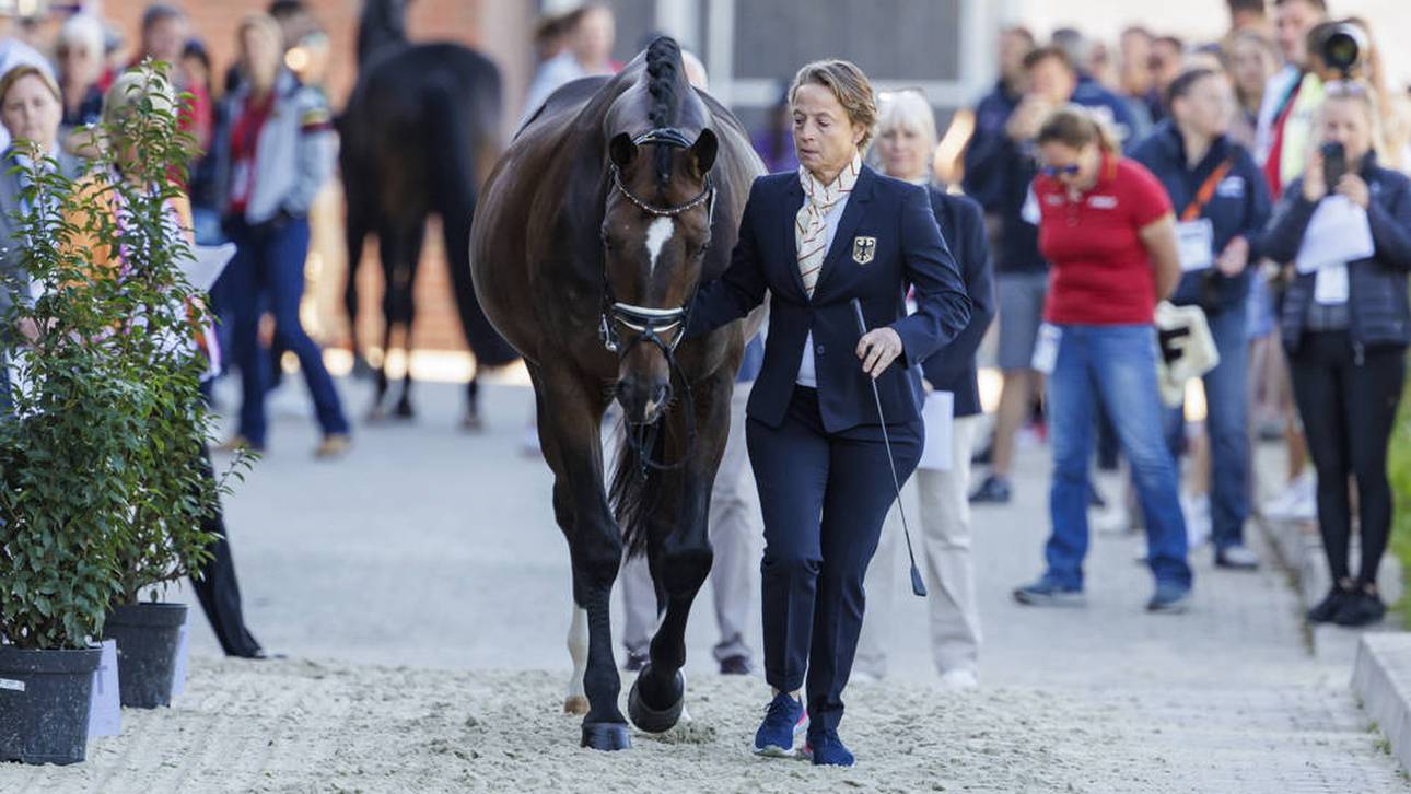 „Könnte das Ende bedeuten“