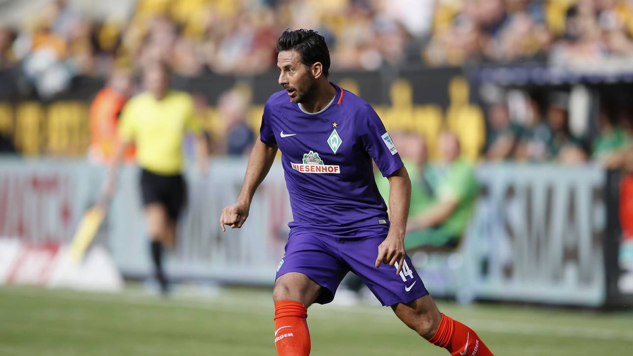 Werder und Schalke LIVE auf SPORT1