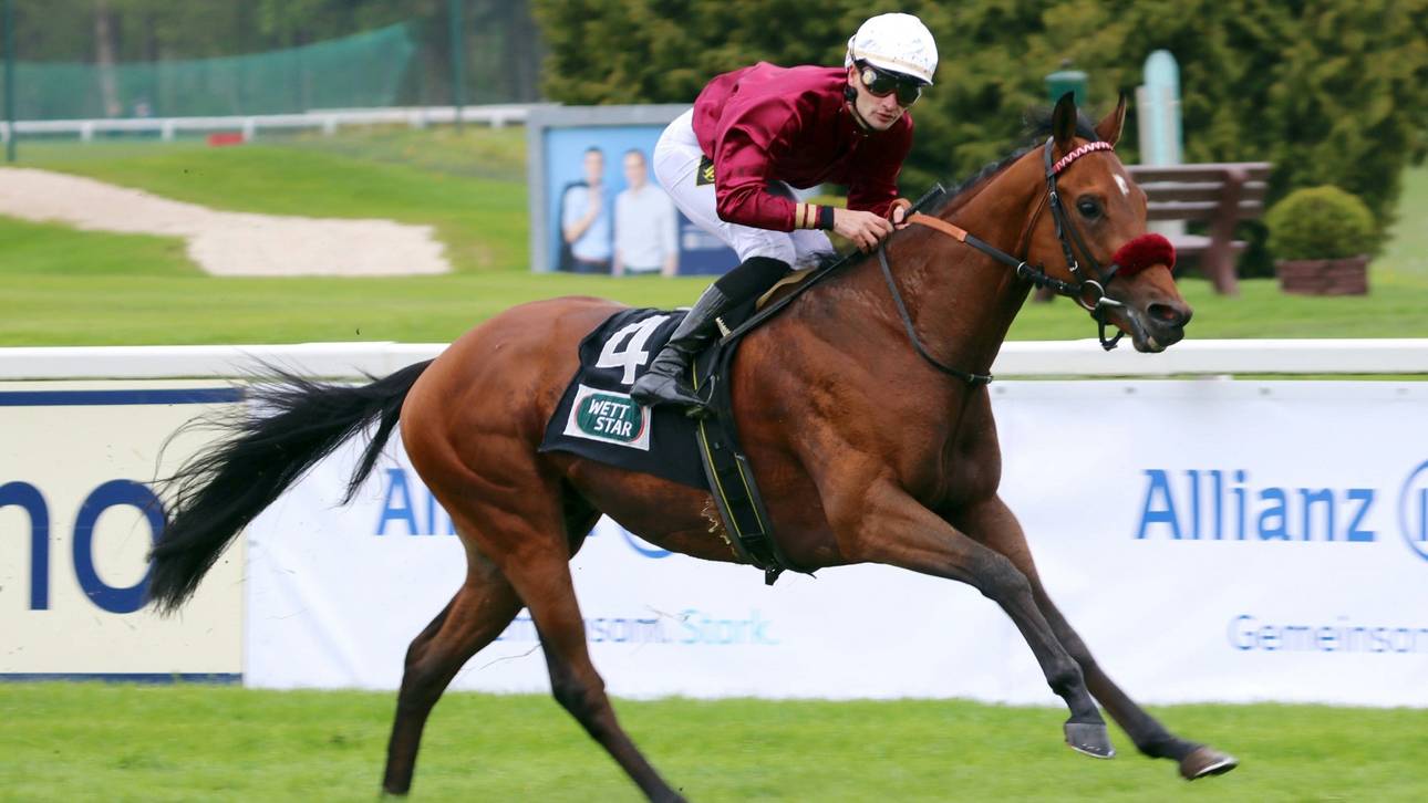 Wer wird Galopper des Jahres?