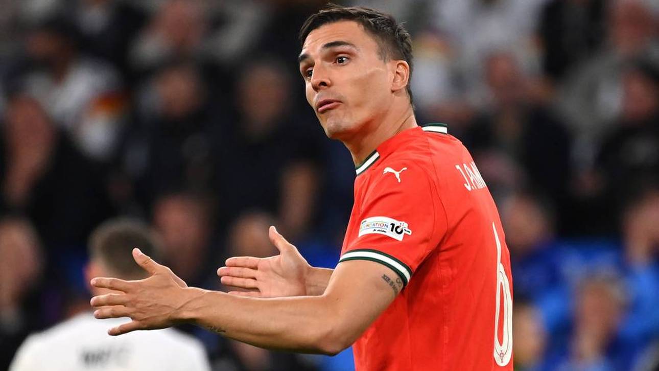 Joao Palhinha wurde gegen Deutschland kurz vor Schluss eingewechselt