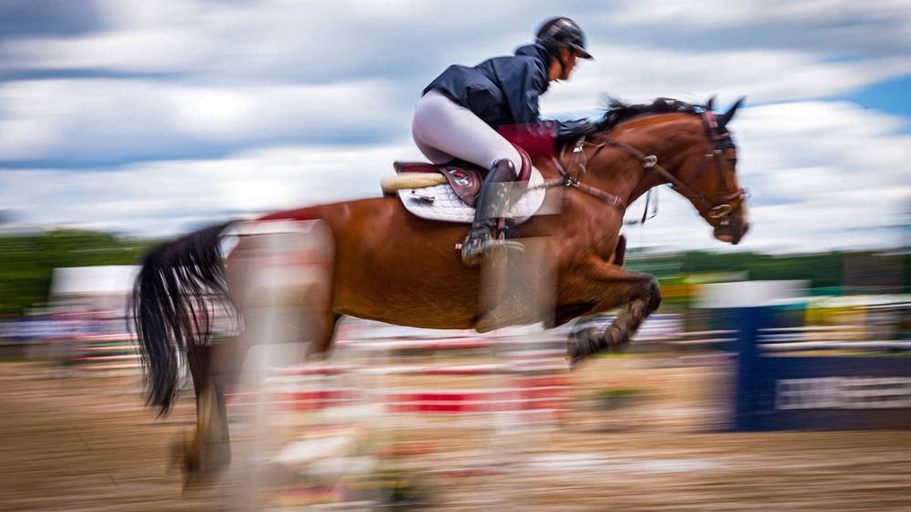 Schlammschlacht um Reit-Deutschland