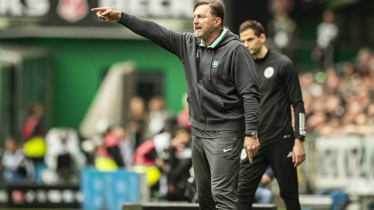 Sieg in Bremen: Hasenhüttl haucht Wölfen neues Leben ein