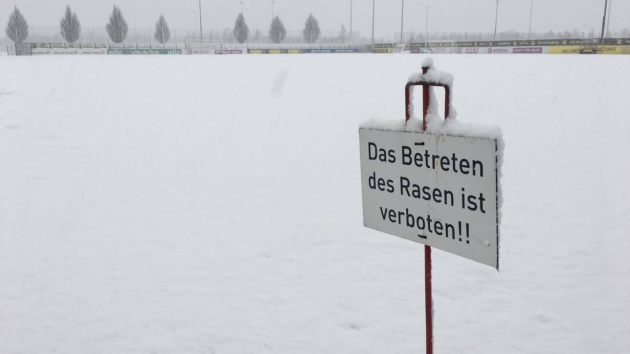1. Training unter Stöger abgesagt