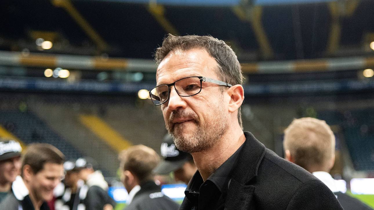 Bobic sauer auf Steinhaus