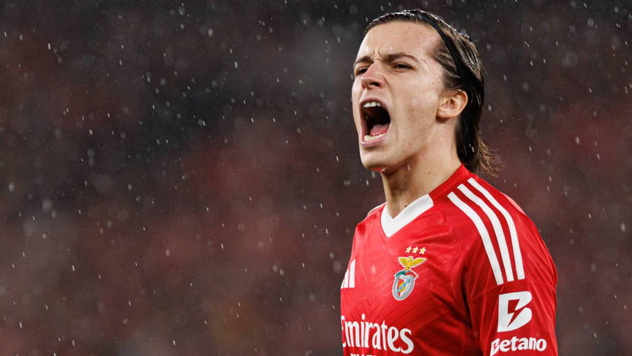 Real weiter im Kaufrausch