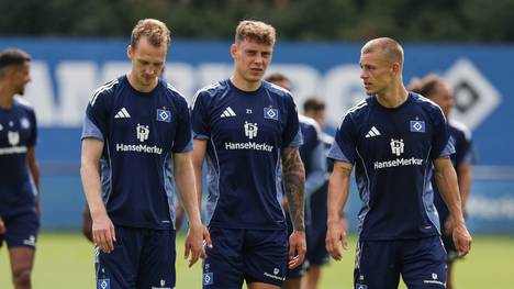 Ex-Kapitän Sebastian Schonlau spielt in den Planungen von HSV-Coach Merlin Polzin keine Rolle mehr. SPORT1 erklärt die Hintergründe.