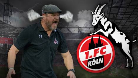 Die Wutrede von Trainer Steffen Baumgart schlägt in Köln hohe Wellen. Die Fans stimmen dem Trainer aber großteils zu.