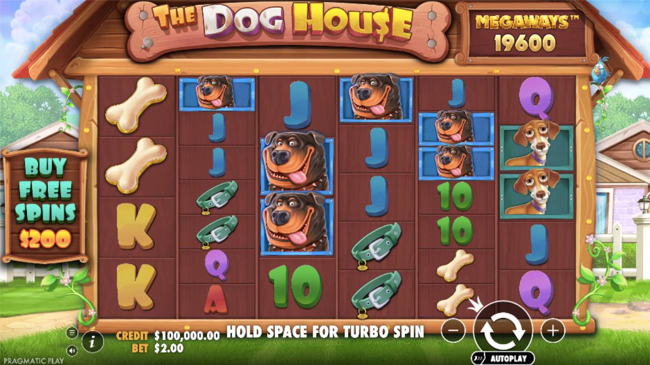 The Dog House Megaways