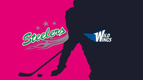 Bietigheim Steelers - Schwenninger Wild Wings: Tore und Highlights | PENNY DEL