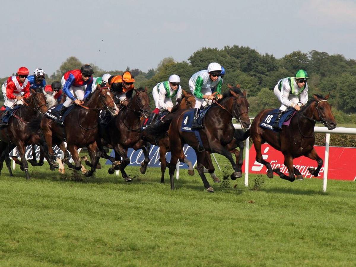 Galopp 148. Longines Gro er Preis von Baden im TV Stream bei SPORT1