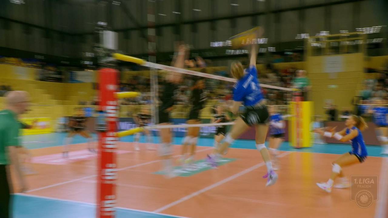 Volleyball Bundesliga: VC Wiesbaden ringt die Roten Raben Vilsbiburg nieder