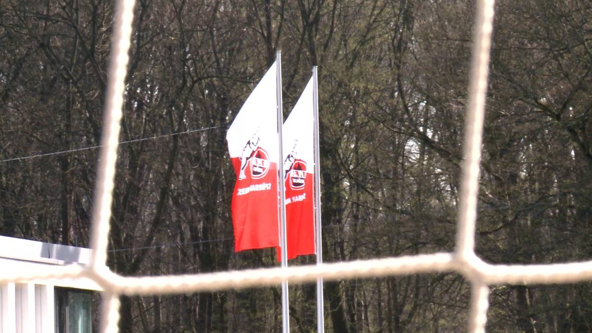 Beim 1. FC Köln sind drei Corona-Fälle aufgetreten