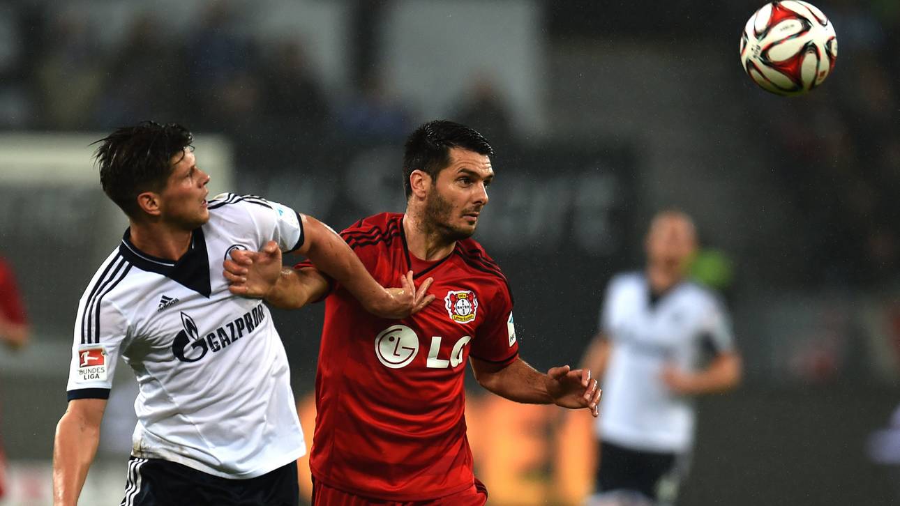 Schalke kann mit Bayer gleichziehen