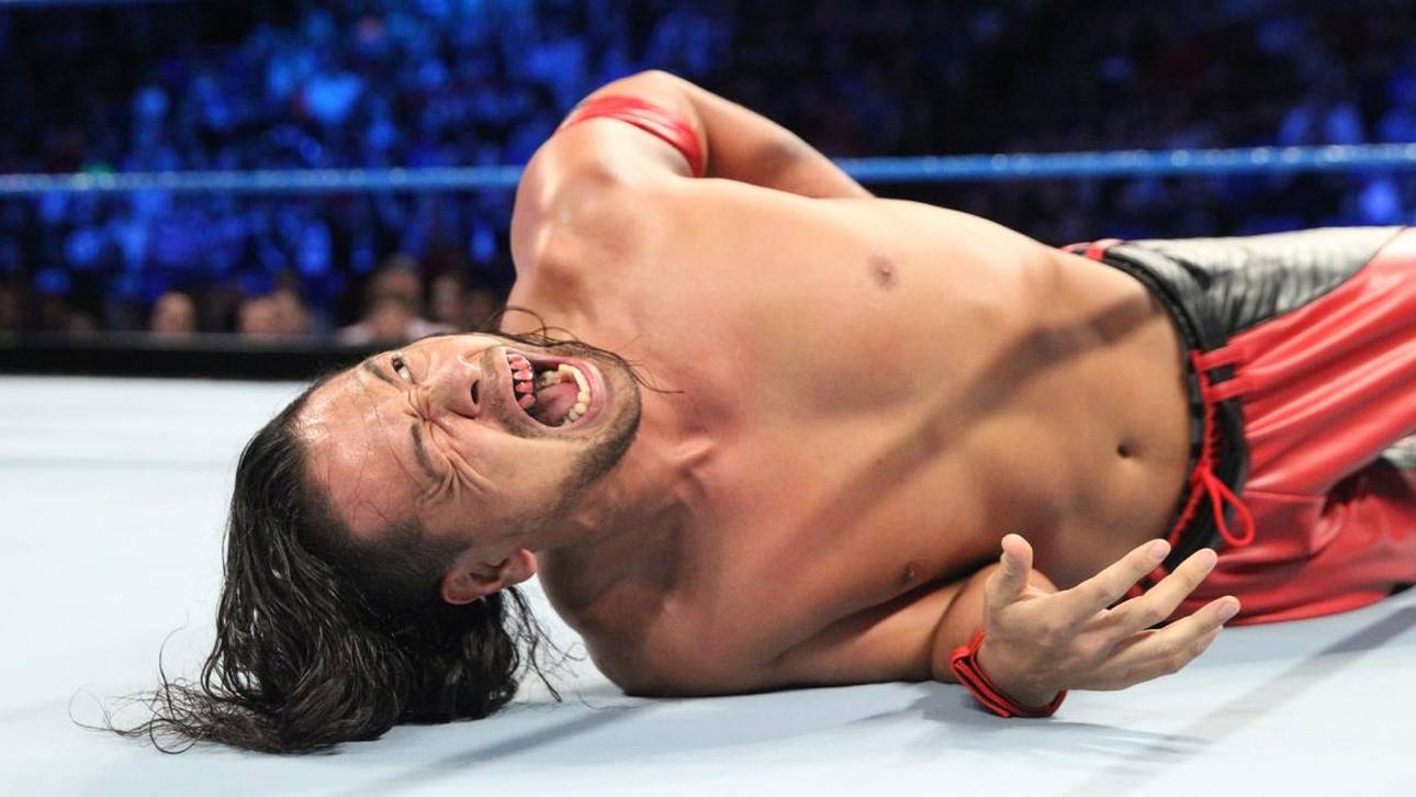 Bomben-Hund verletzt WWE-Star