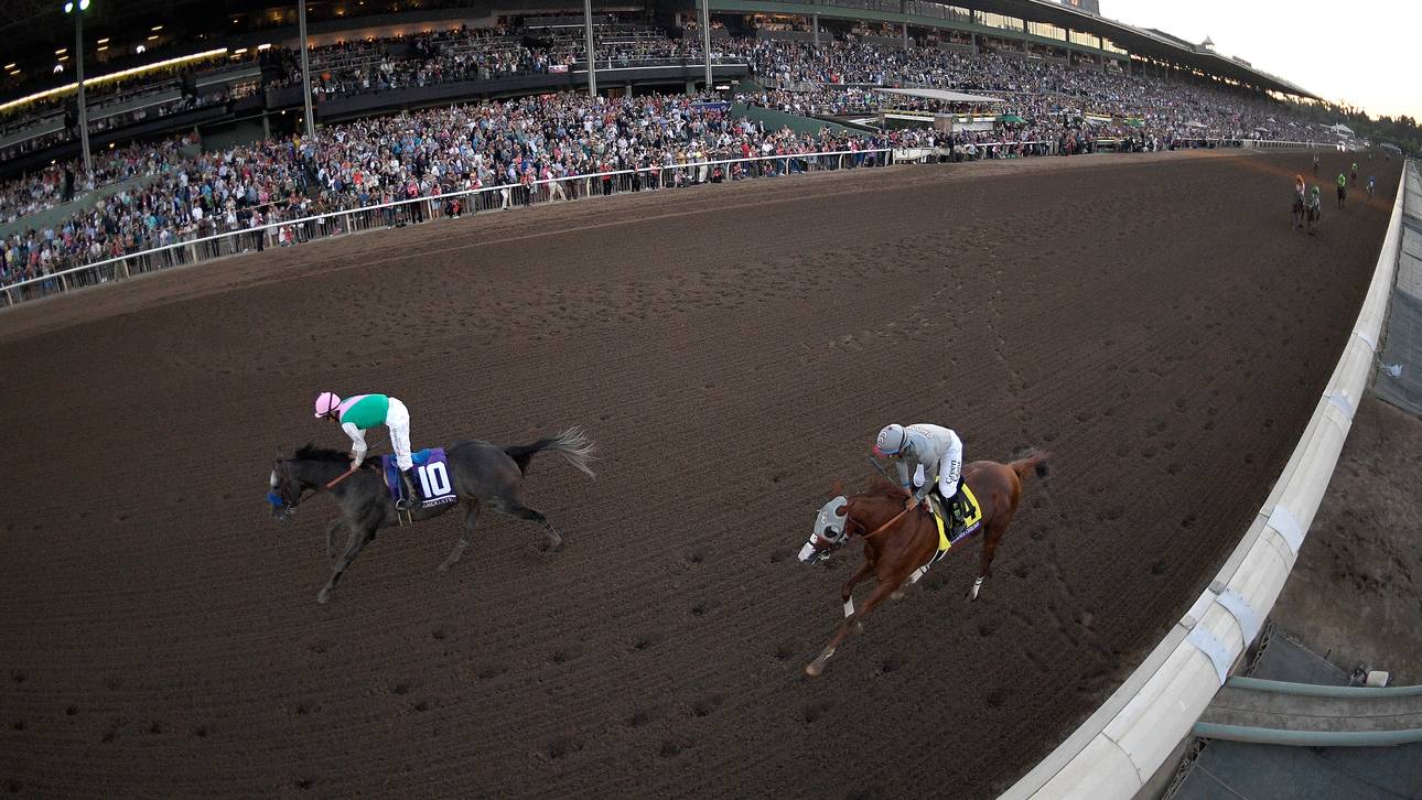 21 tote Pferde! Rennen ausgesetzt
