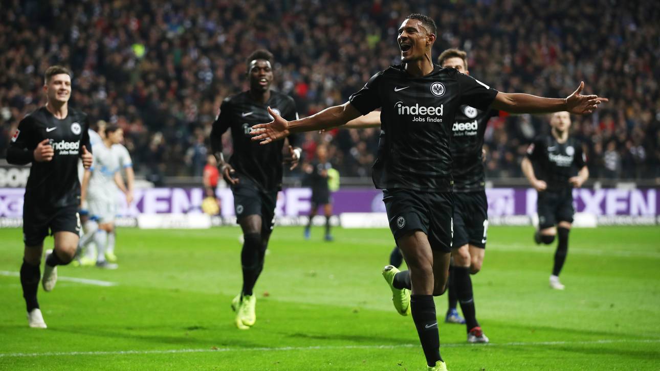 Das Comeback der Büffelherde