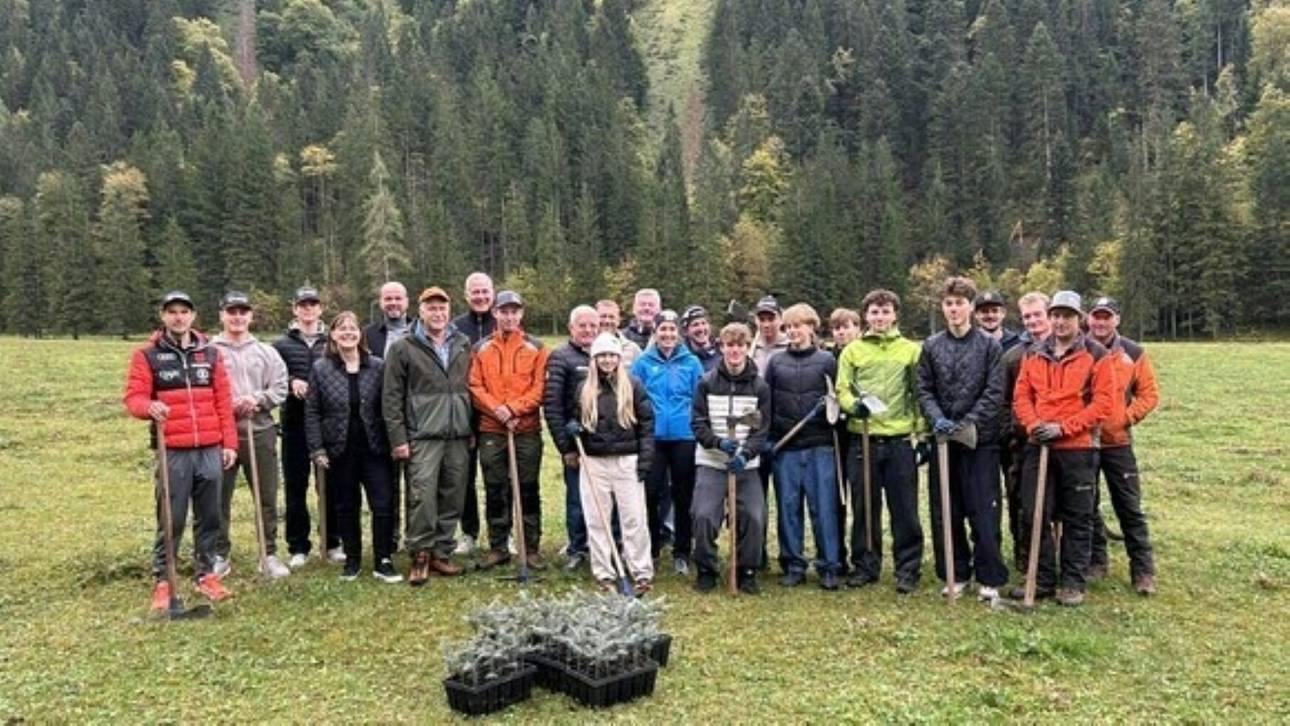 Junge Athleten pflanzen junge Fichten