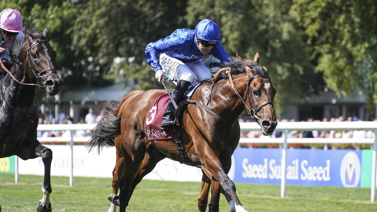 Best Solution gewinnt im Galopp