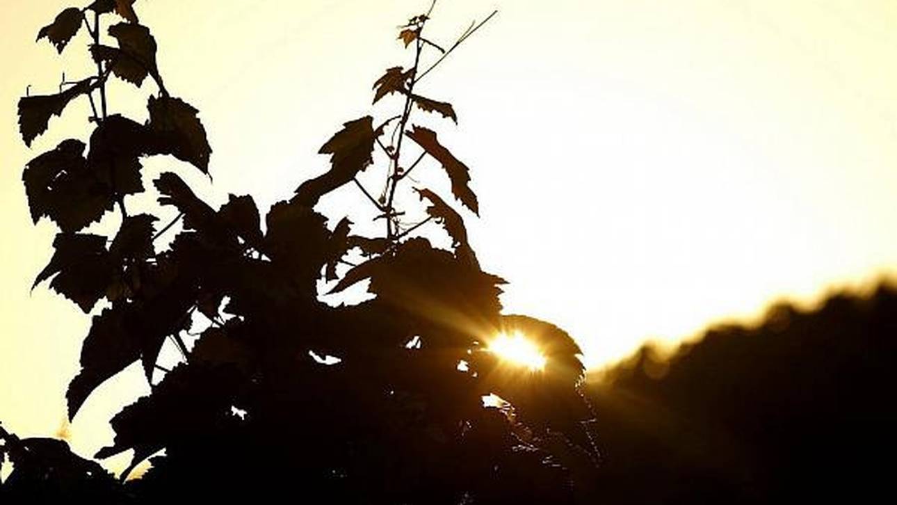 Tödlicher Unfall überschattet Rallye Deutschland