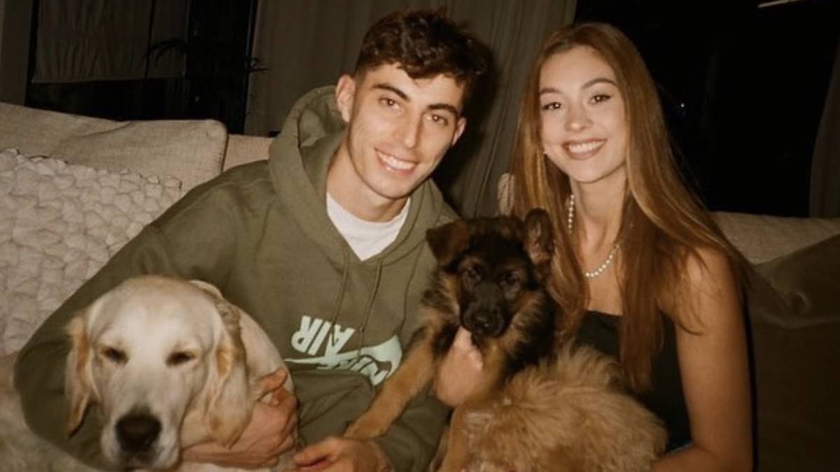 KAI HAVERTZ und Freundin Sophia Weber sind riesige Hunde-Fans. Sie haben gleich drei Vierbeiner. 