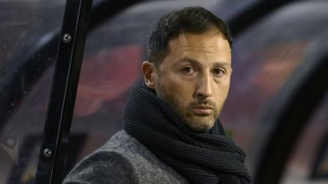 Belgiens Nationaltrainer Domenico Tedesco