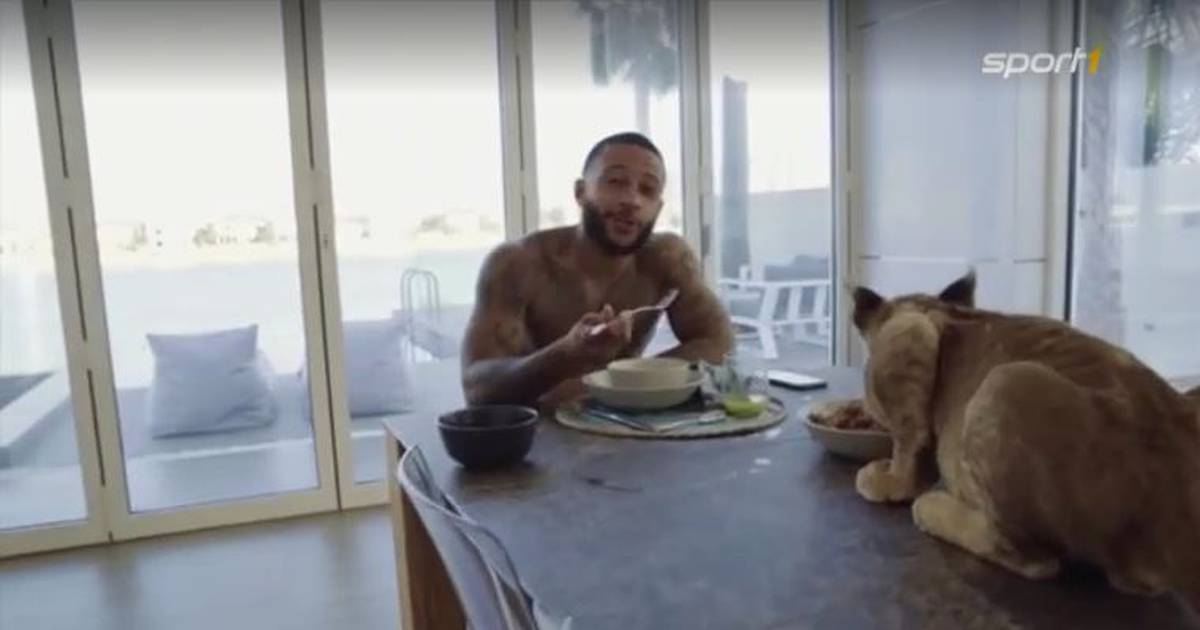 Skurilles Musikvideo Memphis Depay Auf Den Spuren Des Tigerkings