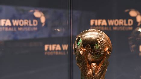 Das DFB-Team gewann die WM-Trophäe zuletzt 2014 in Brasilien