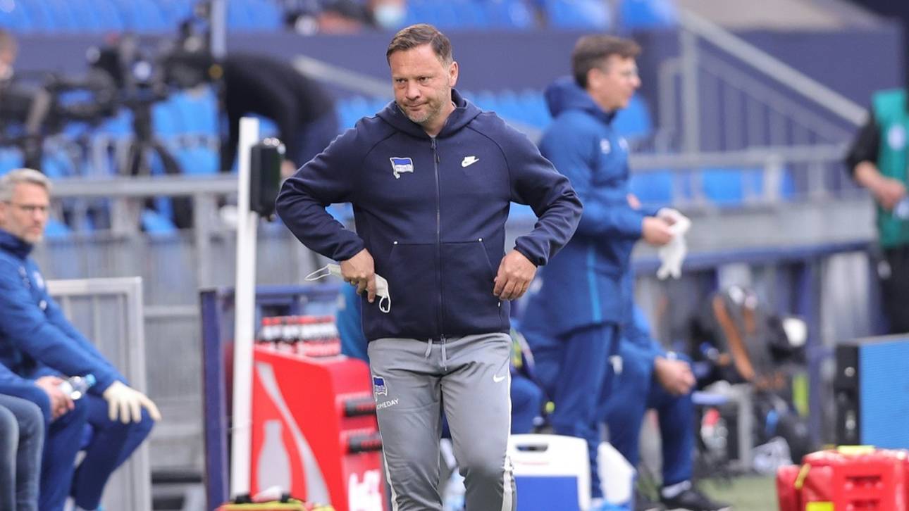 Dardai optimistisch vor Bayern-Duell