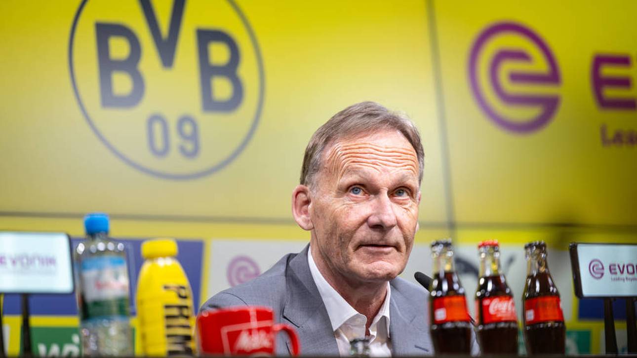 Brisante Details zu BVB-Sponsoring