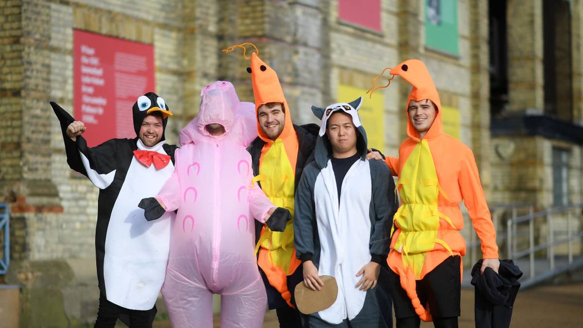 Wer die Vielfalt der Tierwelt entdecken möchte, der muss in den Ally Pally kommen. Egal, ob Pinguin oder Garnele - alle sind im Darts-Fieber