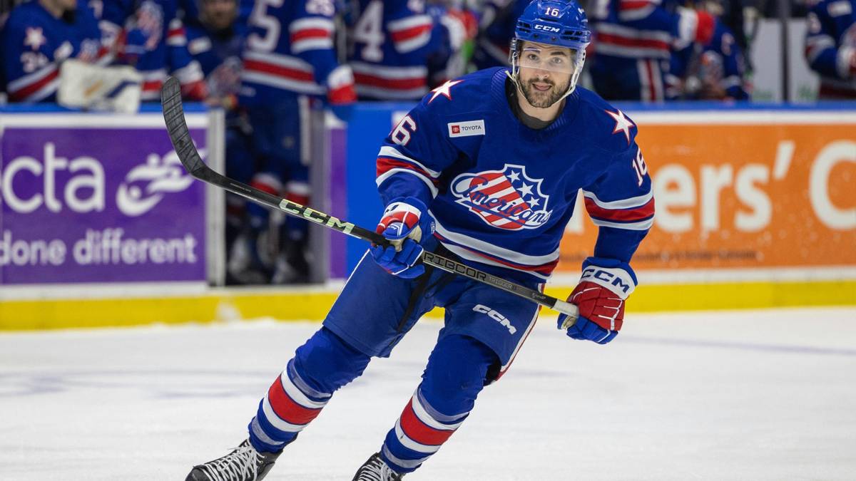 DEL: Düsseldorf holt Richards aus der AHL