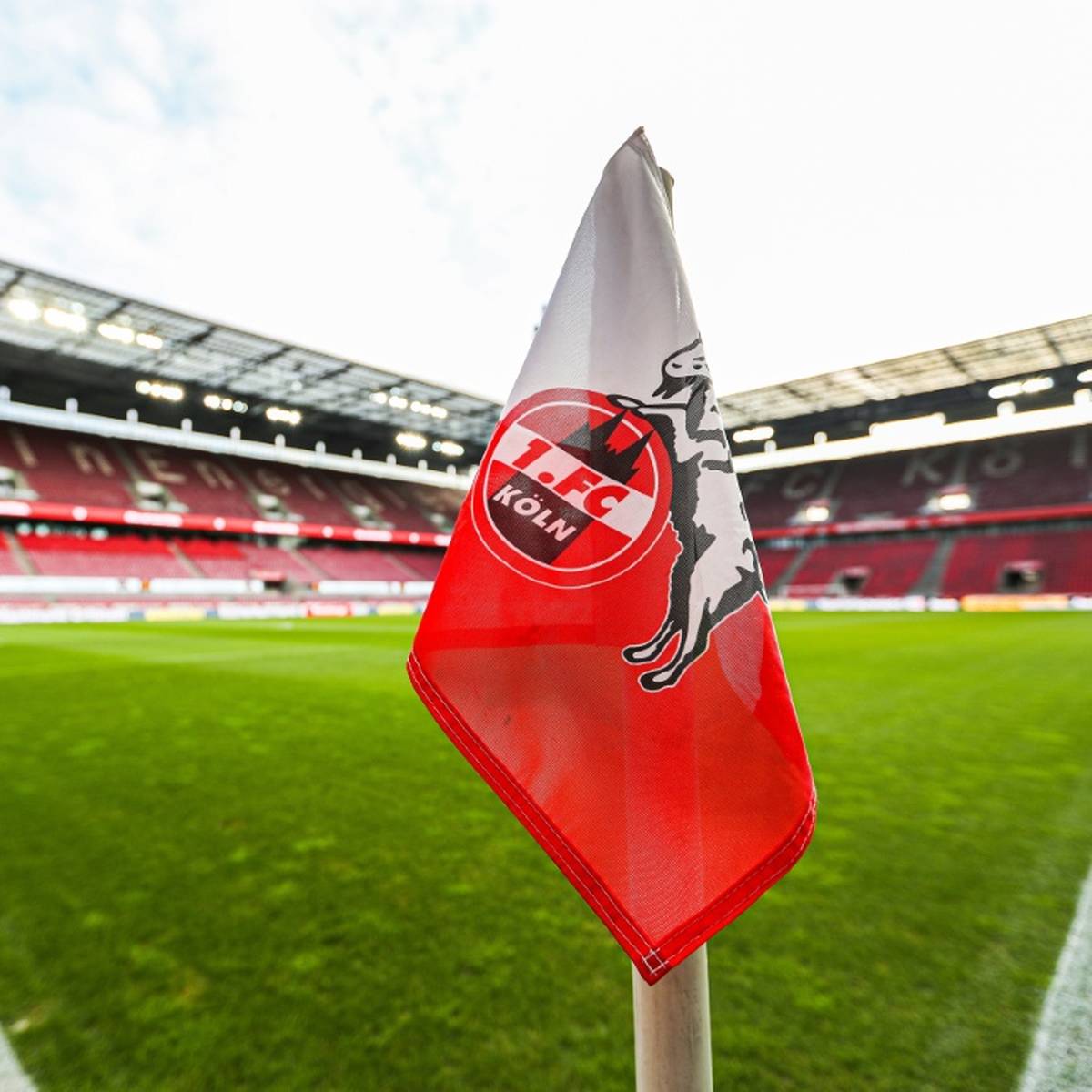 Der 1. FC Köln hat sich für die neue Saison der Frauenfußball-Bundesliga weitere Verstärkung geholt.