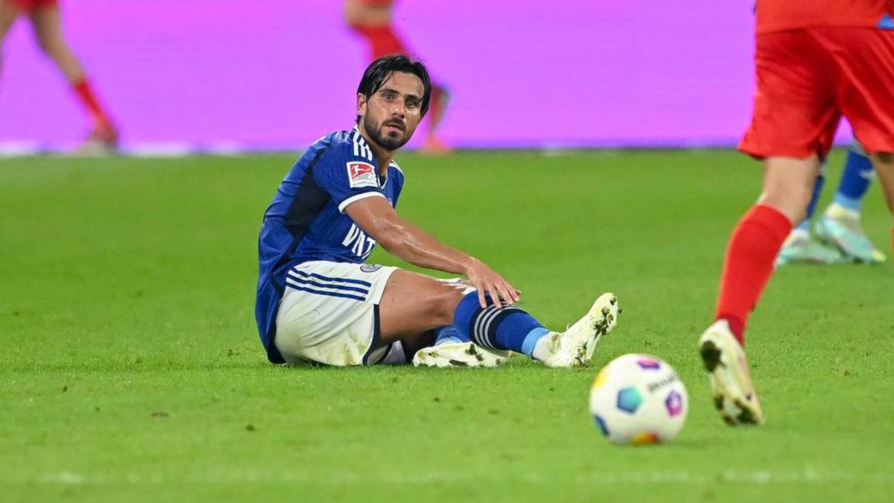 S04-Macher von Aufstieg überzeugt