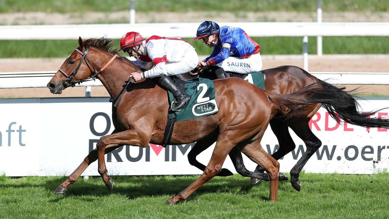 Letzter Tag des Frühjahrs-Meetings fällt ins Wasser