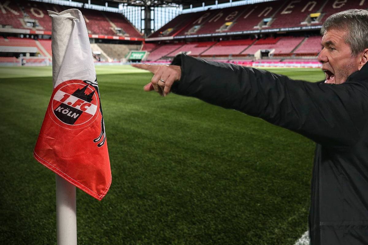 "Aufstiegs-Messias": Führt Funkel den Effzeh in die 1. Liga?