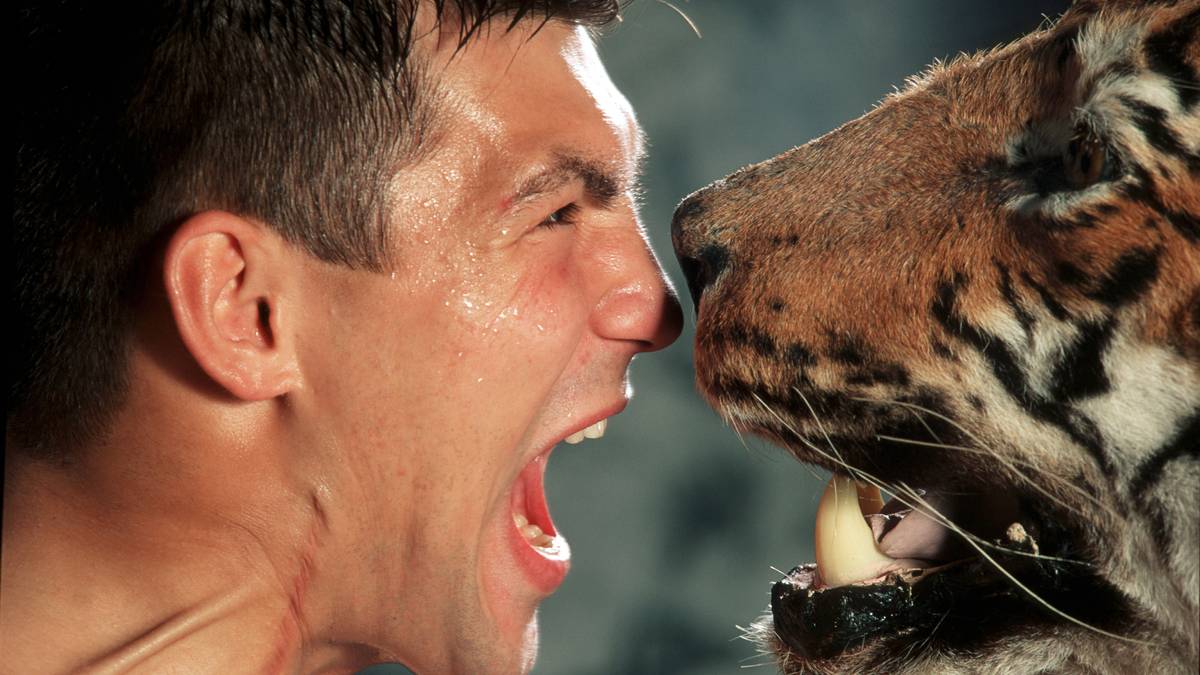 1994: DARIUSZ MICHALCZEWSKI (IBF, WBA, WBO-Halbschwergewicht / WBO-Cruisergewicht) - nachdem sich Michalczewski 1994 den WBO-Titel sichert, hält er ihn herausragende neun Jahre. Zwischenzeitlich ist er auch Inhaber anderer Gürtel